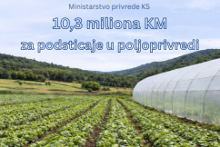 Za poljoprivredu i ruralni razvoj u 2026. godini osigurano 10,3 miliona KM
