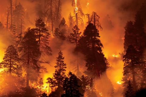Povećana opasnost od šumskih požara